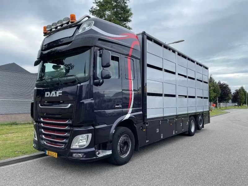 DAF XF 460 - Animal transporter - Livestock truck: picture 1 DAF XF 460 - Animal transporter - Livestock truck: picture 1