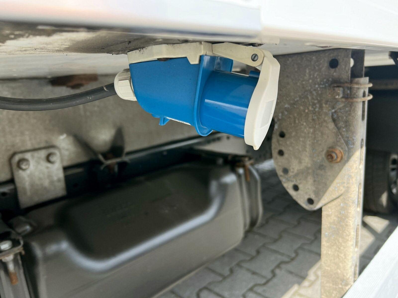 Iveco Daily 50C15 Kontener Mroźnia/Chłodnia 3x Drzwi ThermoKing V 300 leasing Iveco Daily 50C15 Kontener Mroźnia/Chłodnia 3x Drzwi ThermoKing V 300: picture 6