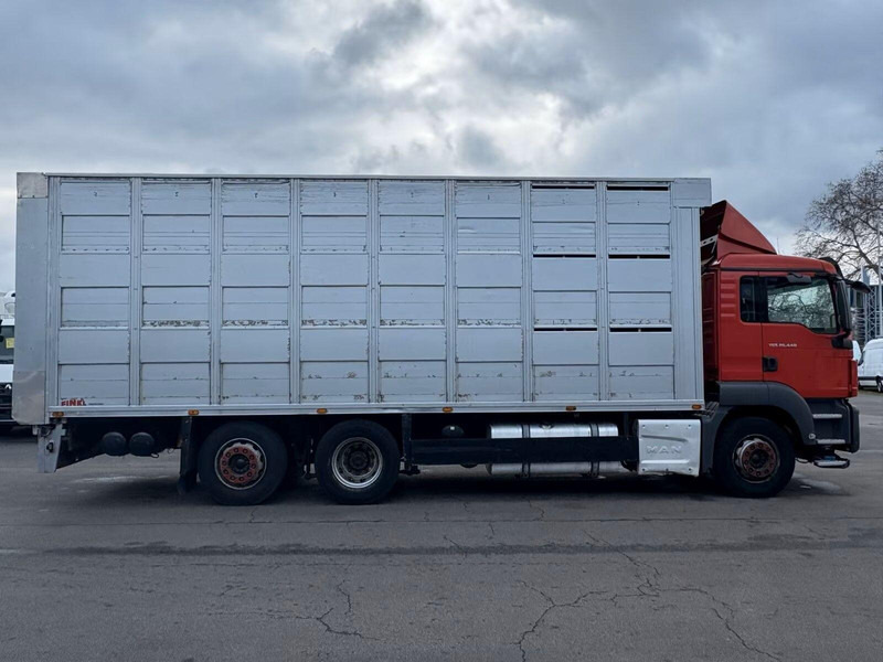 MAN TGS 26.440 - Animal transporter - Livestock truck: picture 4 MAN TGS 26.440 - Animal transporter - Livestock truck: picture 4