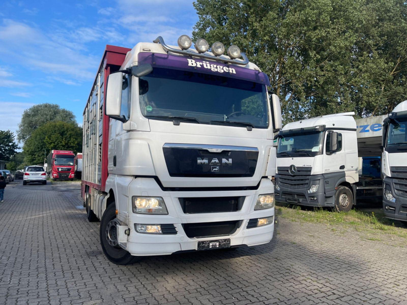 MAN TGX 26.400 6x2-2 LL 3 Stück Finkl Hubdach - Livestock truck: picture 4 MAN TGX 26.400 6x2-2 LL 3 Stück Finkl Hubdach - Livestock truck: picture 4