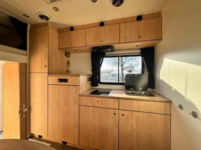 Horse truck MAN TGX 26.440 - Horse transporter: picture 13