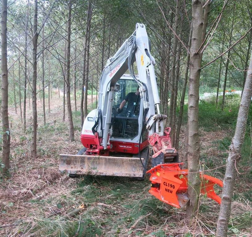 New Attachment for Forestry equipment Westtech Woodcracker CL190 Fällkopf Fällgreifer Westtech Woodcracker CL190 Fällkopf Fällgreifer: picture 7