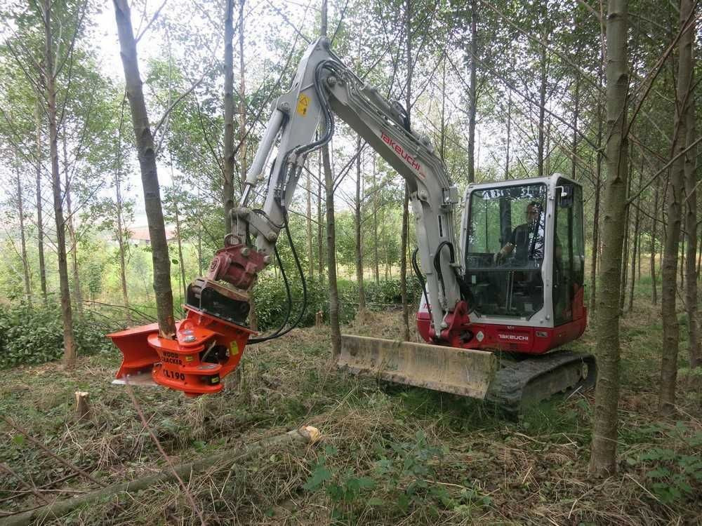 New Attachment for Forestry equipment Westtech Woodcracker CL190 Fällkopf Fällgreifer Westtech Woodcracker CL190 Fällkopf Fällgreifer: picture 6
