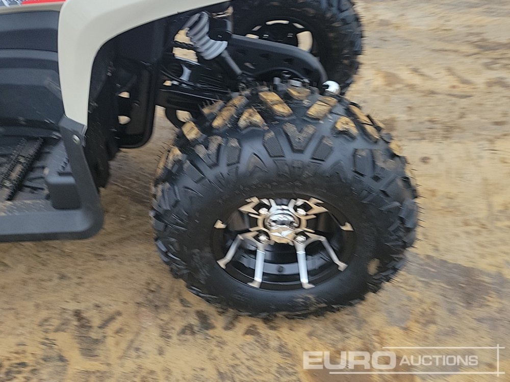 ATV/ Quad Unused 2025 Titan 250: picture 10 ATV/ Quad Unused 2025 Titan 250: picture 10