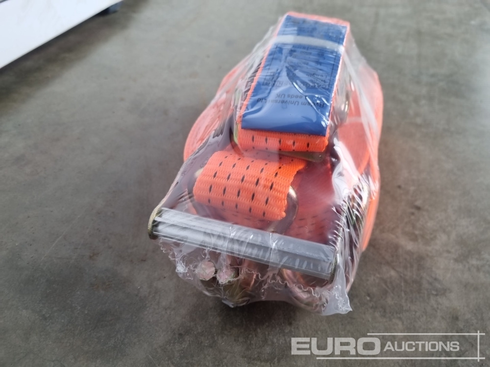 Garage equipment Unused Boss 10M 5T Ratchet Strap (10 of): picture 10