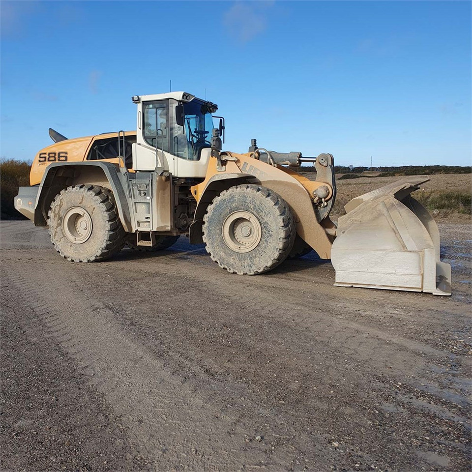 Liebherr L586 XPower leasing Liebherr L586 XPower: picture 13