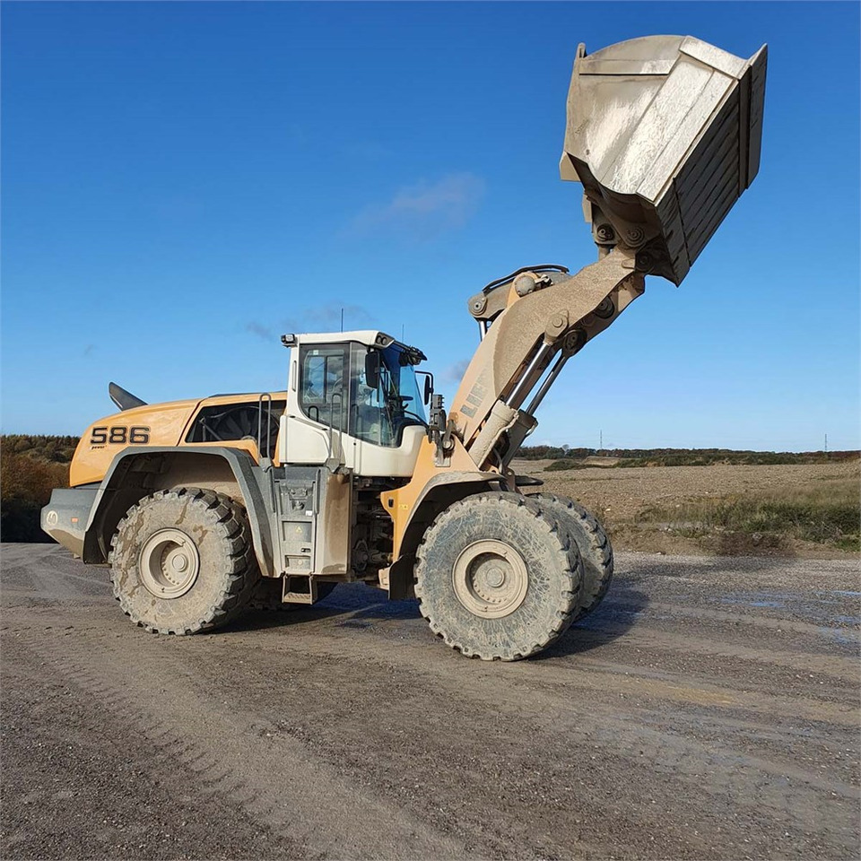 Liebherr L586 XPower leasing Liebherr L586 XPower: picture 14