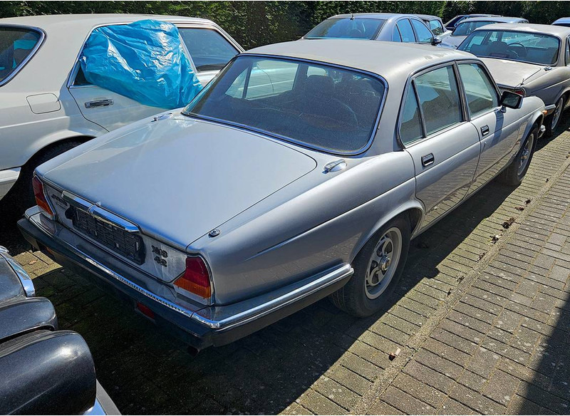 Jaguar 'XJ (series III) 6 _ 4.2 Automatic - Sedan: picture 2 Jaguar 'XJ (series III) 6 _ 4.2 Automatic - Sedan: picture 2