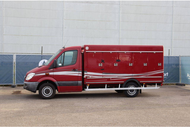 Mercedes-Benz 313CDI - Closed box van: picture 1 Mercedes-Benz 313CDI - Closed box van: picture 1