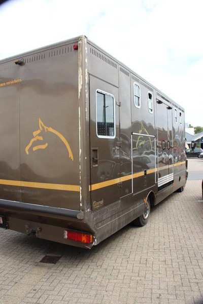 Mercedes-Benz 817 - Horse truck: picture 4 Mercedes-Benz 817 - Horse truck: picture 4