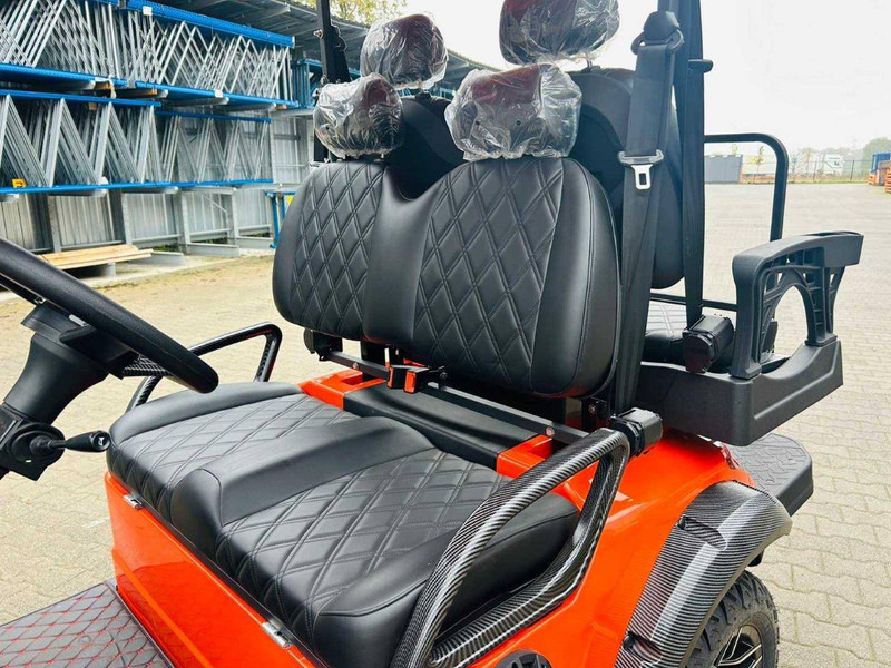 New Golf cart RTE: picture 9
