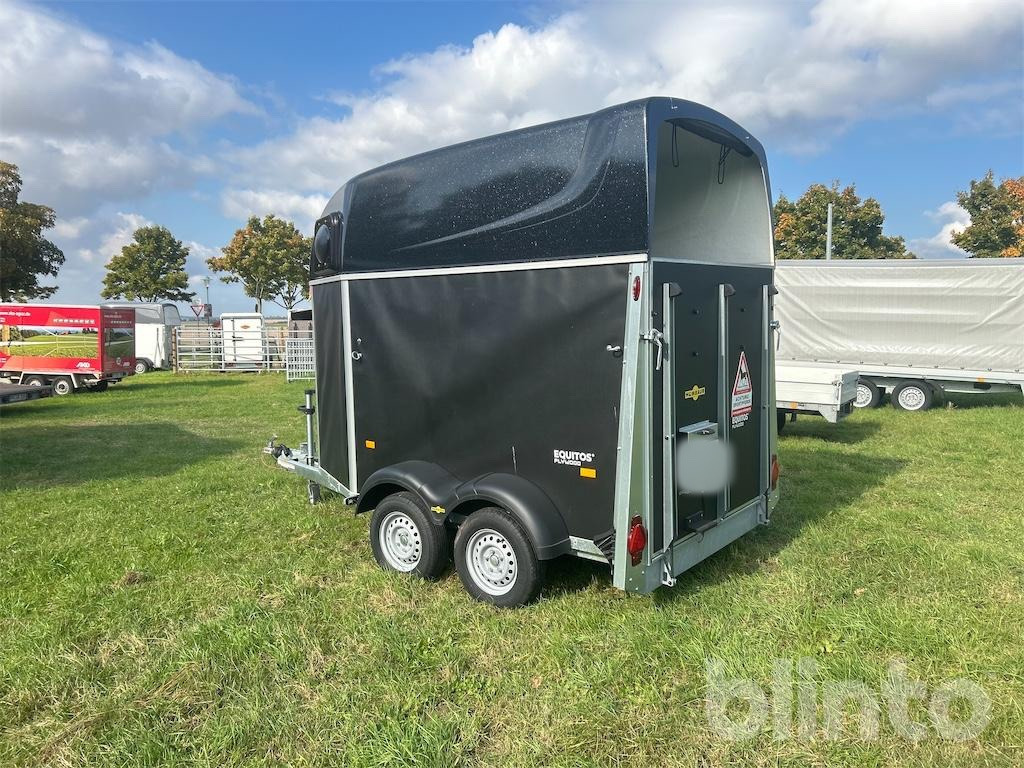 Humbauer Equitos Plywood (2025) - Horse trailer: picture 3 Humbauer Equitos Plywood (2025) - Horse trailer: picture 3