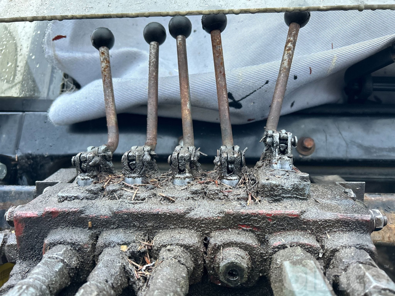 Timber transport Moheda: picture 9 Timber transport Moheda: picture 9