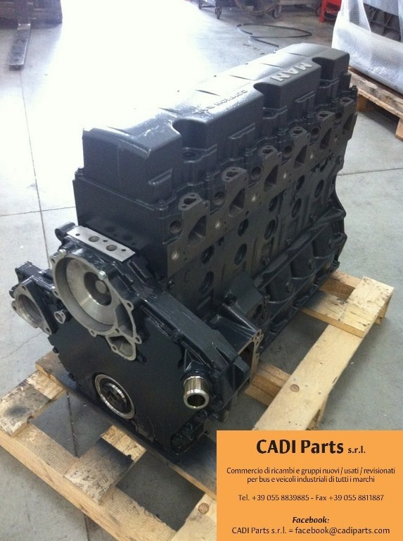 MOTORE MAN D0836LFL63 - Engine: picture 1 MOTORE MAN D0836LFL63 - Engine: picture 1